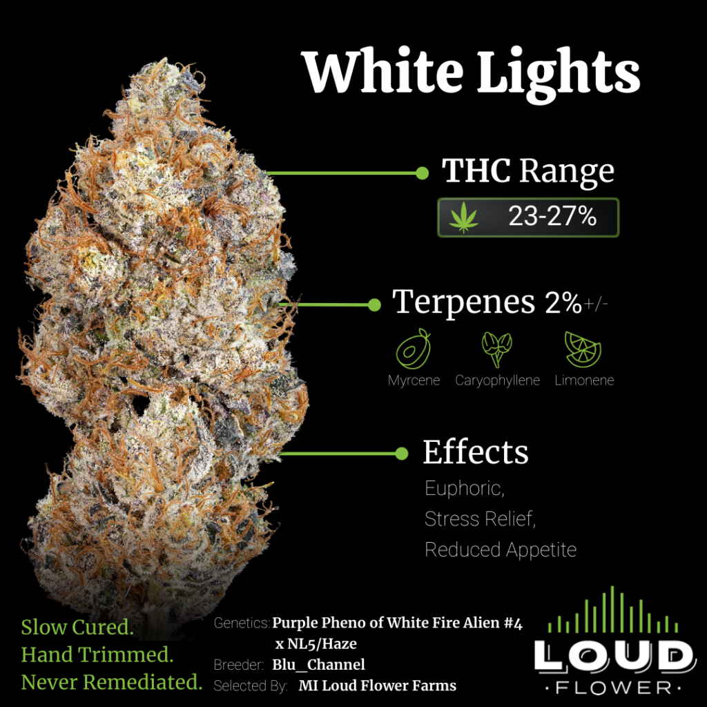 White Lights