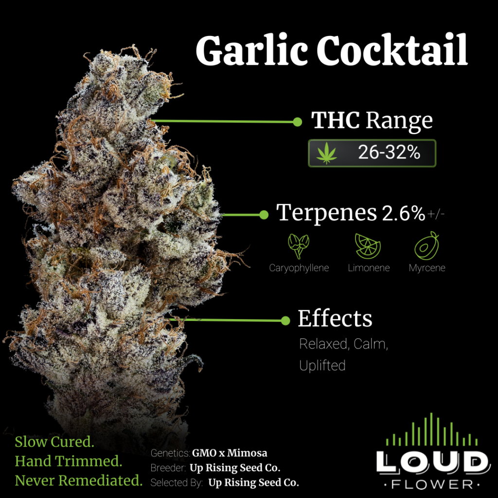 Garlic Cocktail