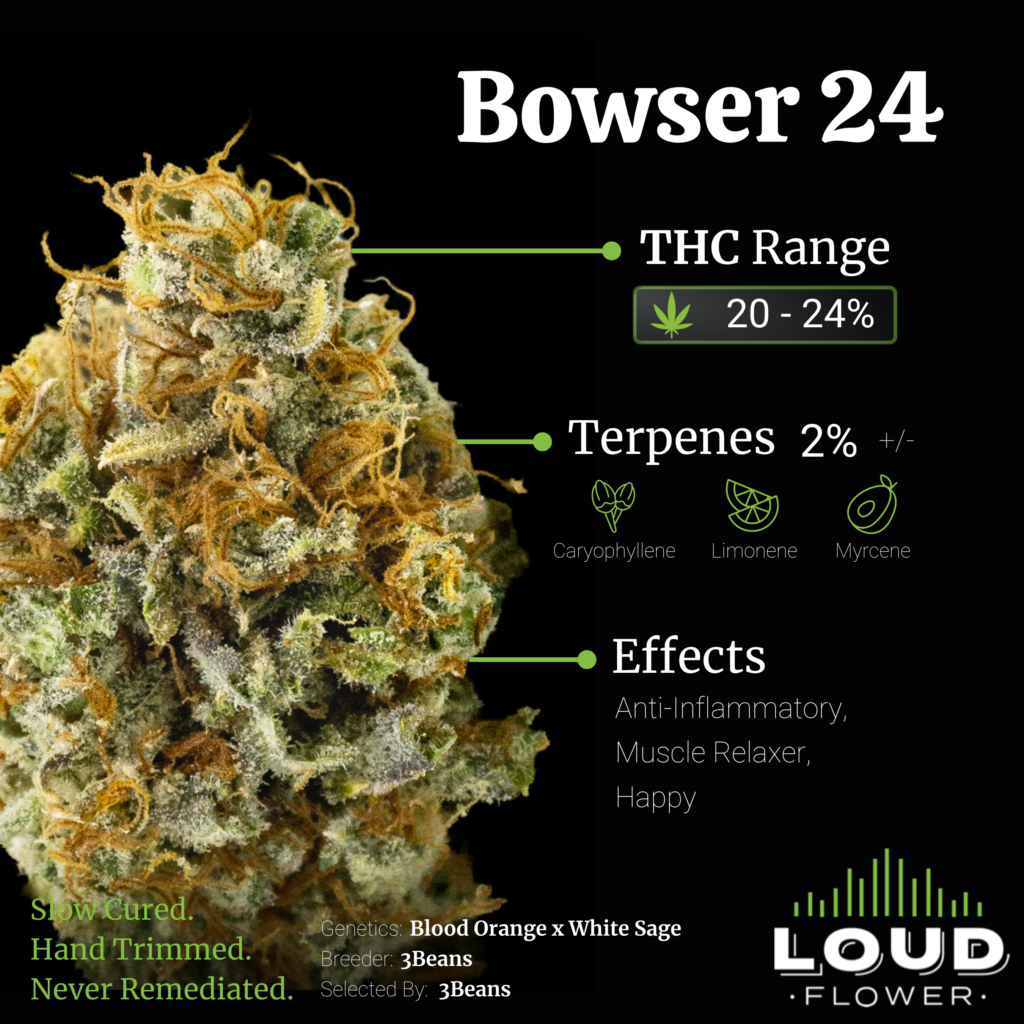 Bowser 24