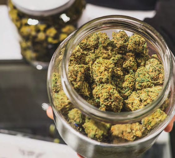 Higher Love Cannabis Flower