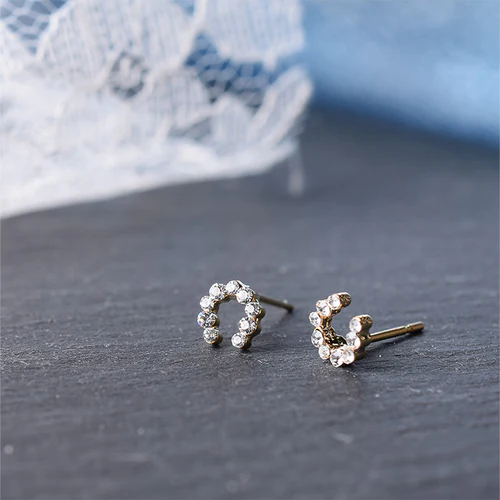 Pierced Earrings