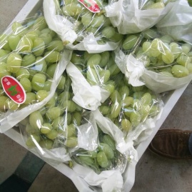 牛晓峰 (Niu Xiaofeng) Mazi Grapes