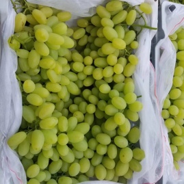 牛晓峰 (Niu Xiaofeng) Victoria Grapes