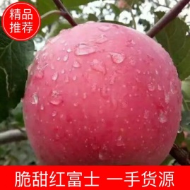 闫立奇 (Yan Liqi) 【优质精选】大量供应山西运城膜袋,纸加膜冰糖心红富士苹果