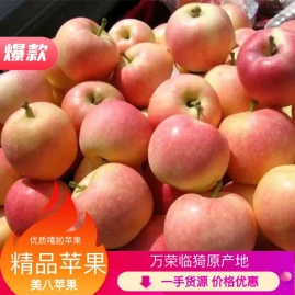 【精品热卖】山西运城万荣临猗优质嘎啦苹果、美八苹果、现摘...