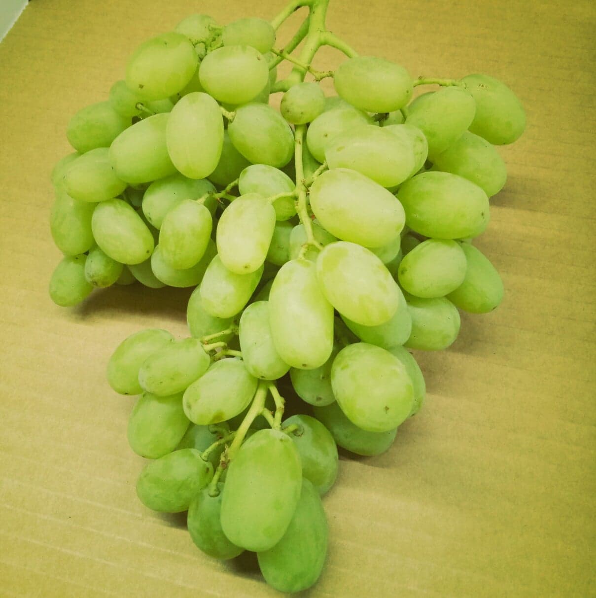 Thompson Seedless Grapes