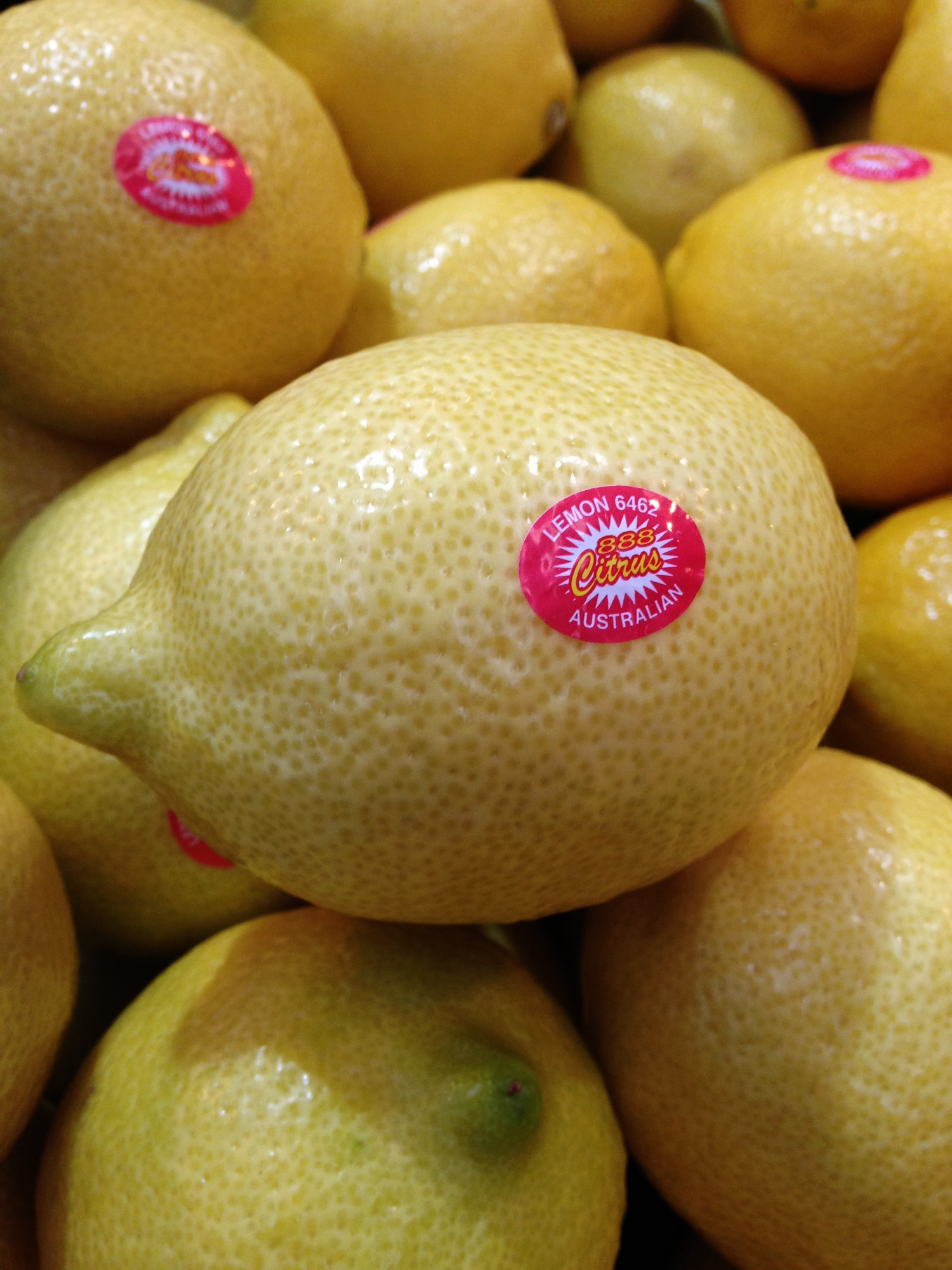 888 Citrus (Ventnor Grove Pty Ltd) Lemons