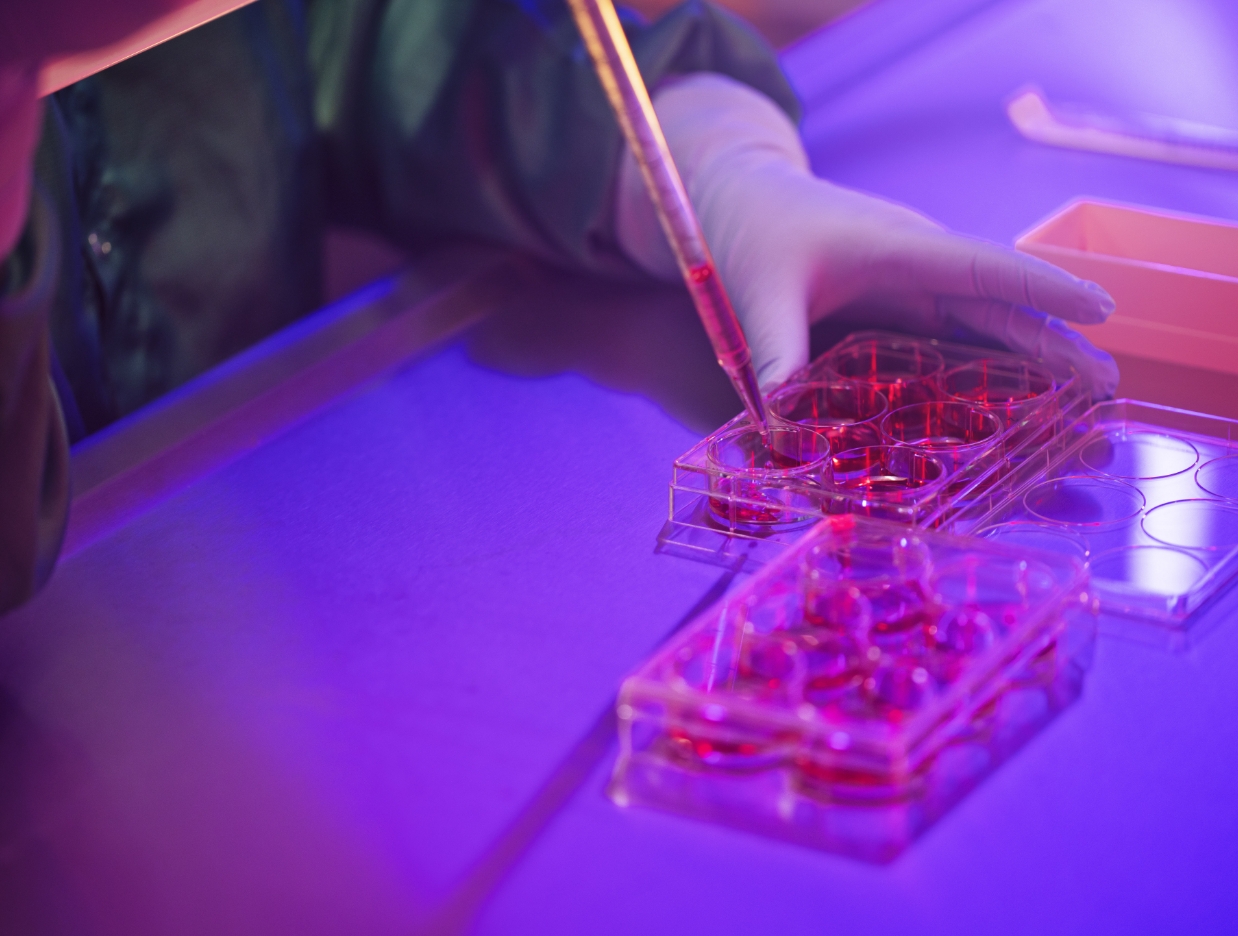上海墨迪斯医疗技术有限公司 (Shanghai Medix Biochemica Medical Technology Co., Ltd.) 生物样本