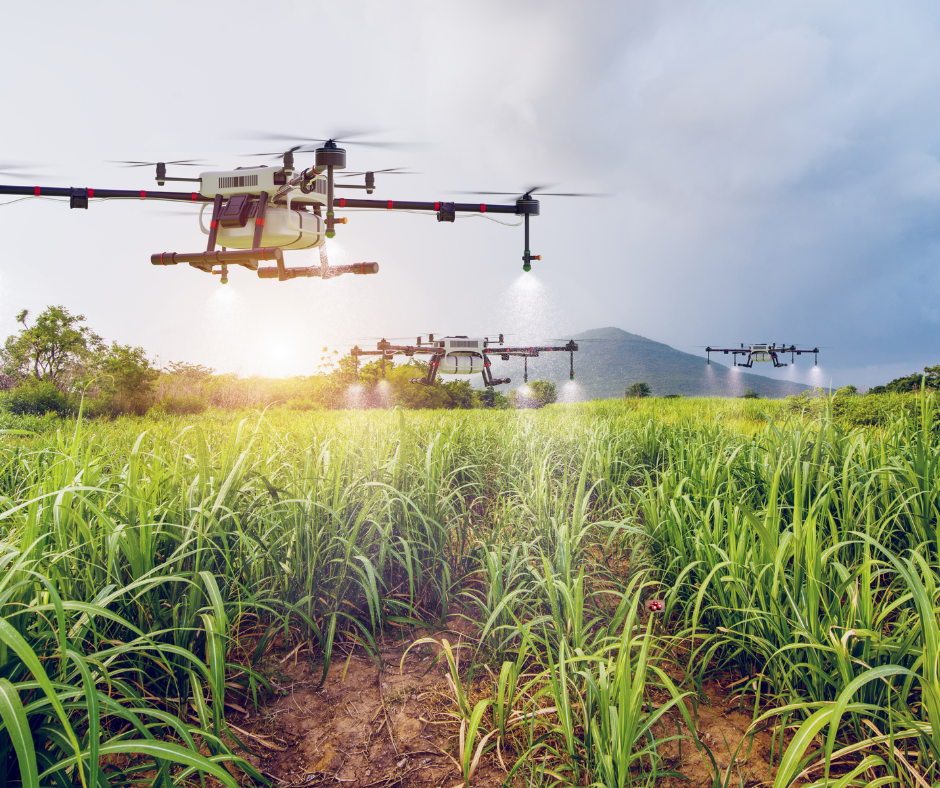SFS GROUPS LLC Agriculture Products