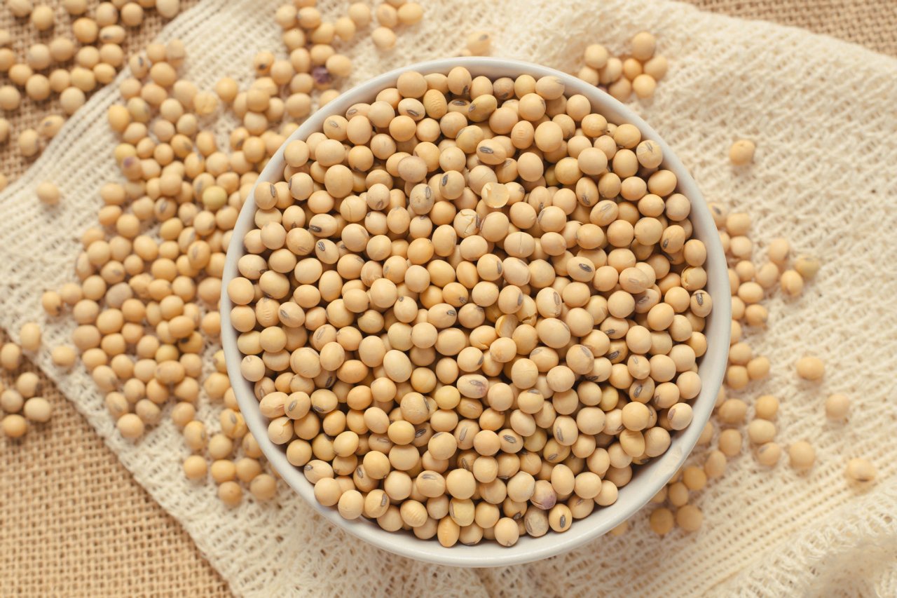 R. C. B. Comércio e Exportação de Cereais e Produtos Agrícolas Ltda Brazilian SoyBean