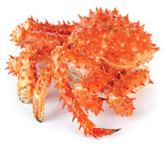 Red King Crab