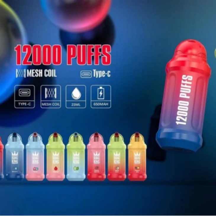 Shenzhen Roylifee Technology Co., Ltd. Bang King 12000