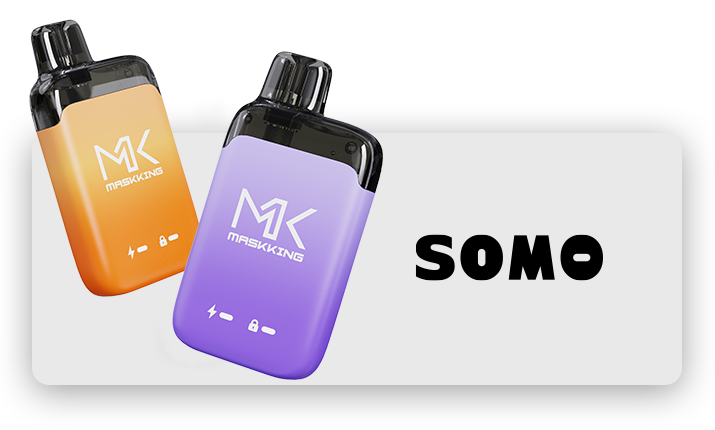 Shenzhen Dayan Future Technology Co., Ltd. (Maskking Vape) Somo
