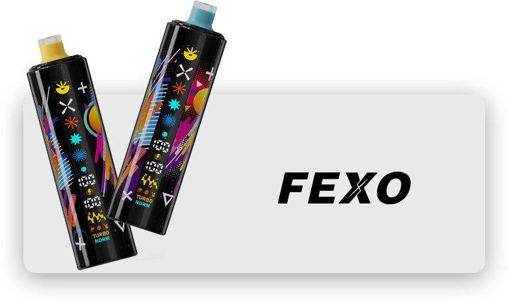 Shenzhen Dayan Future Technology Co., Ltd. (Maskking Vape) Fexo