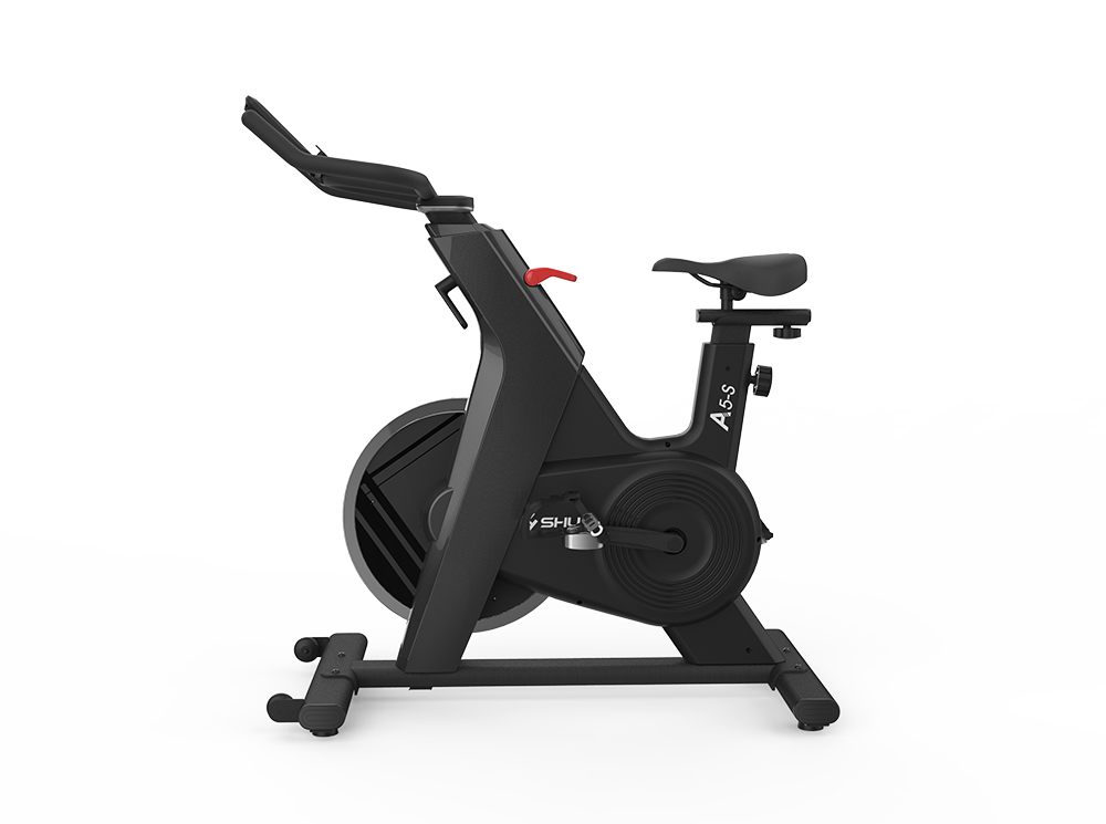 SHUA Fitness India SH-B599 Spinning Bike