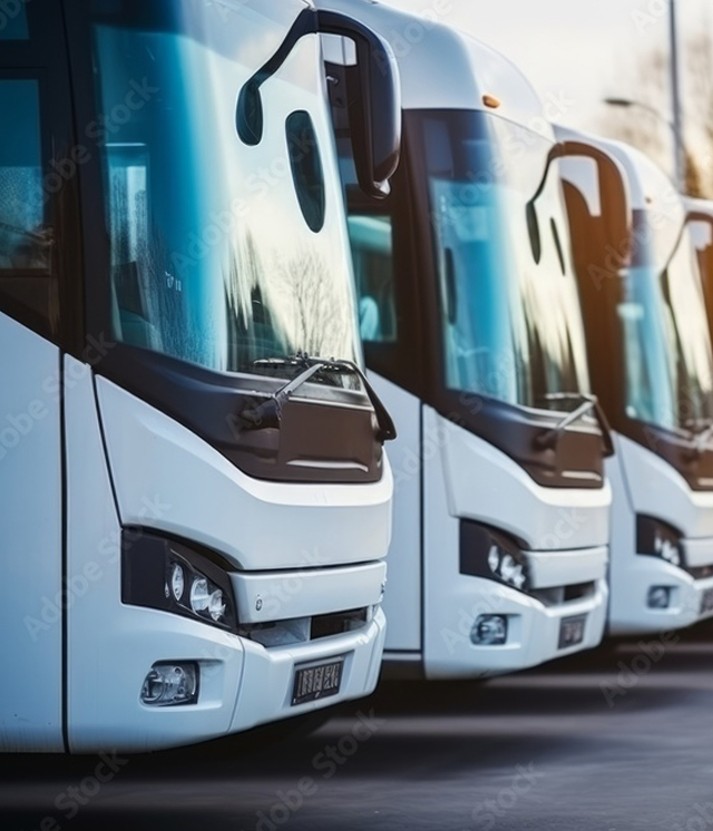 Metropolis Passenger Logistics Shuttle Management