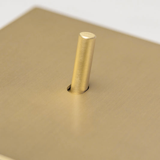Brass bee Satin Brass Switches and Sockets - J Series