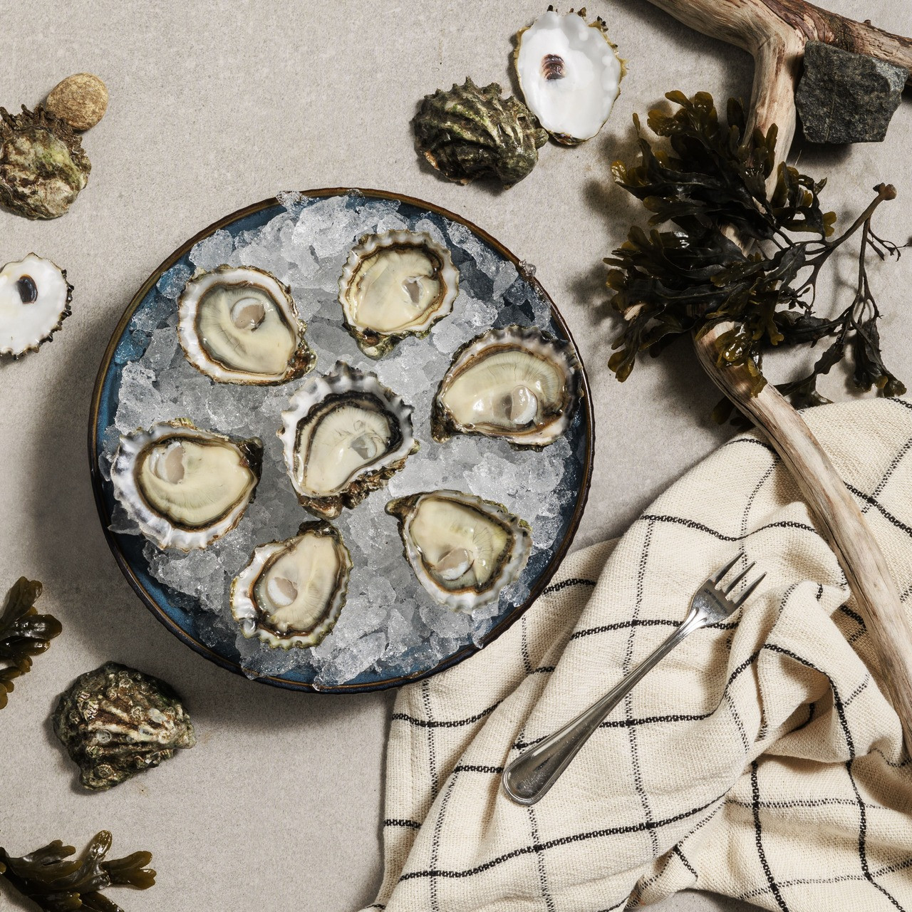 Taylor Shellfish Company Kumamoto Oysters