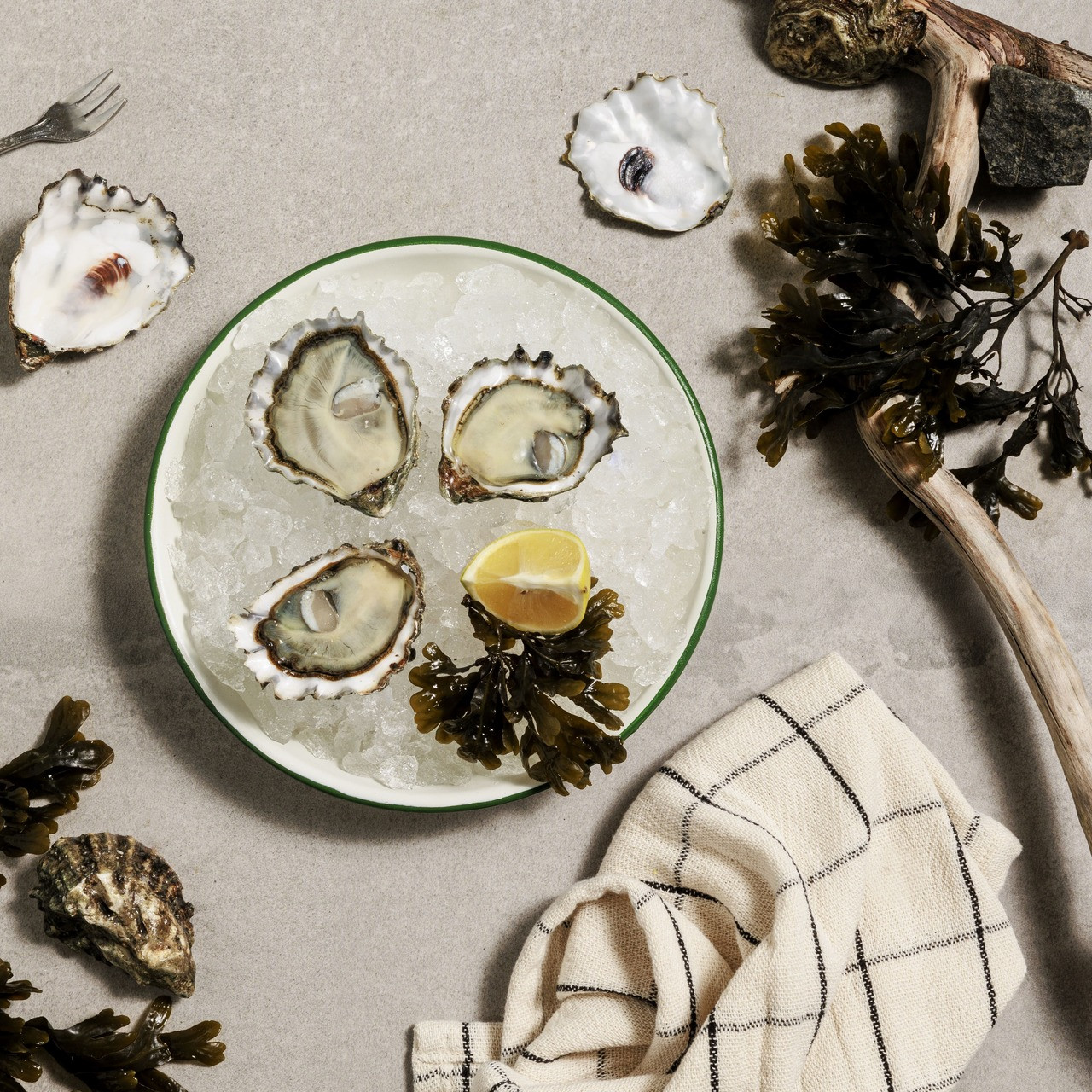 Taylor Shellfish Company Sumo Kumo Oysters