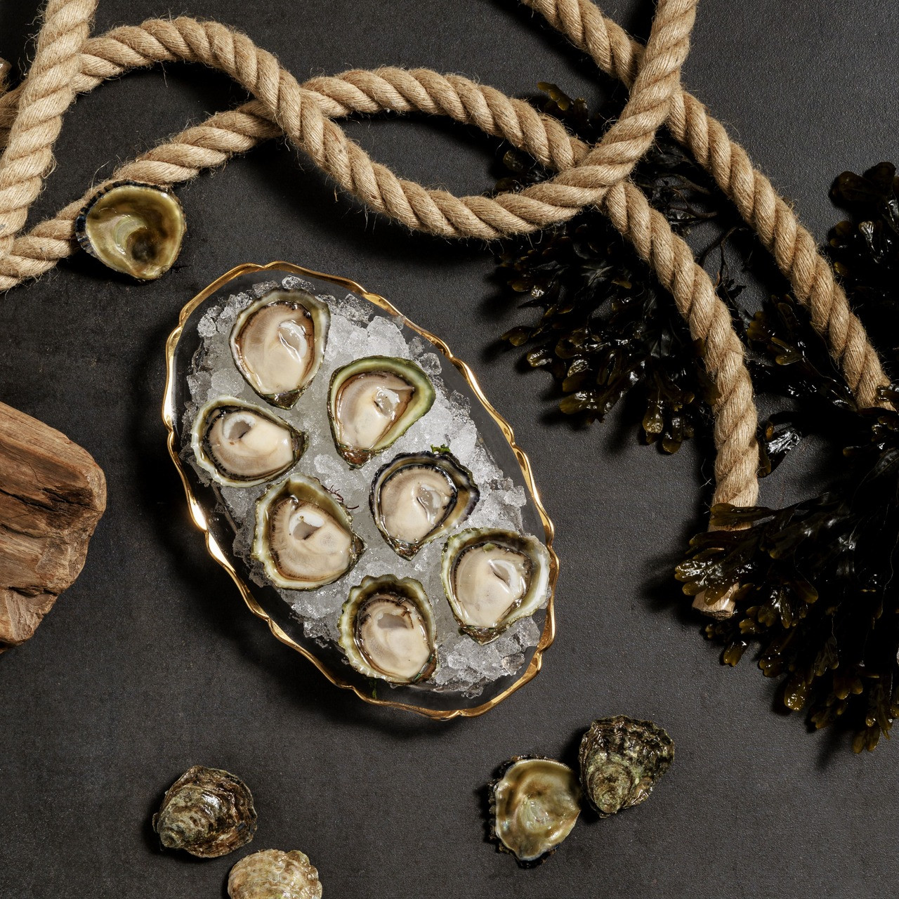 Taylor Shellfish Company Olympia Oysters