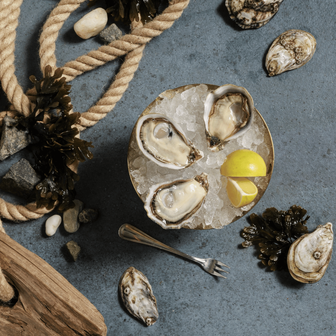 Beach Glass Pacific Oysters