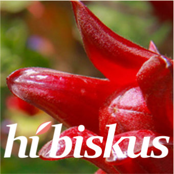 AFRICROPS LLC Hibiscus (Hibiscus sabdariffa)