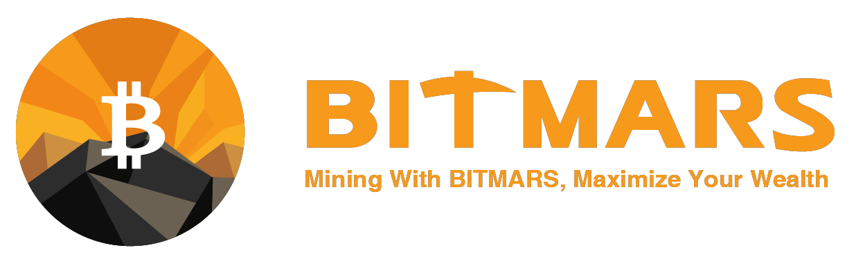 BITMARS GROUP INC logo