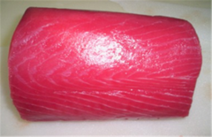 PRIMA BAHARI INTI LESTARI, PT Tuna Yellowfin