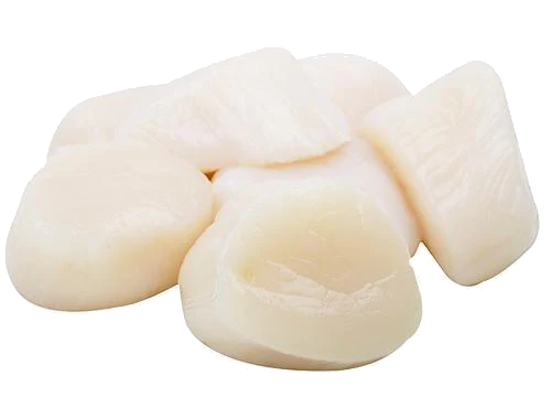 JALA SEMBILAN, PT Scallops (De-shelled)