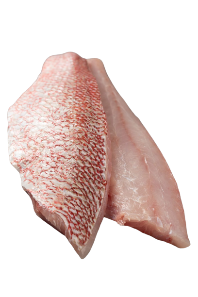 Snapper Fillets