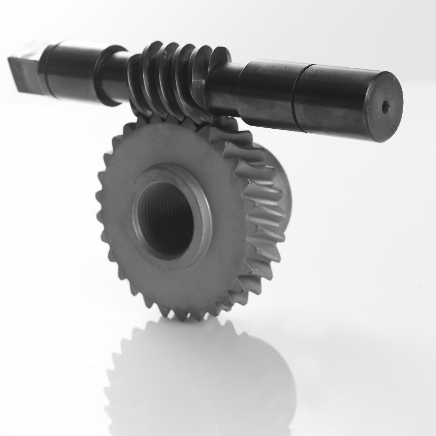 Wormwheel and Worm
