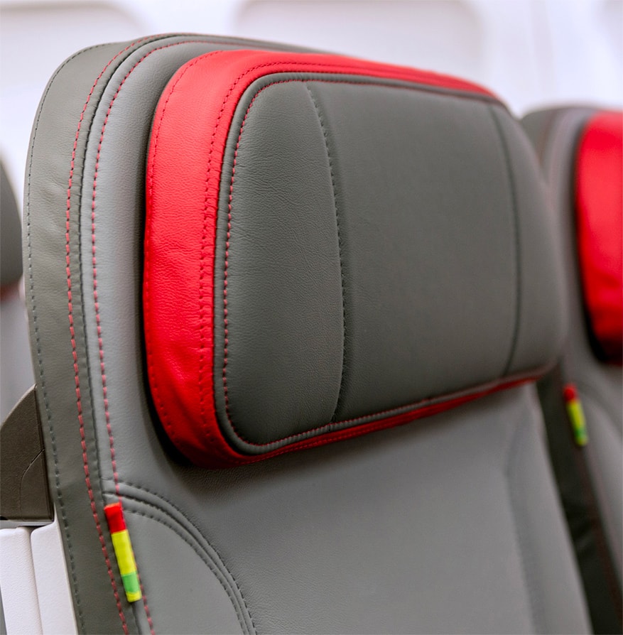 Airlys® Leather (Seats)