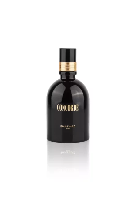 Boulevard Paris Concorde