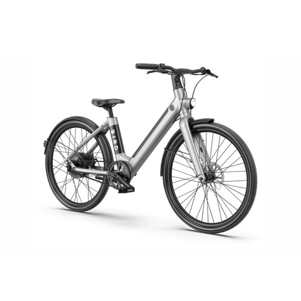 BIRDBIKE V-FRAME