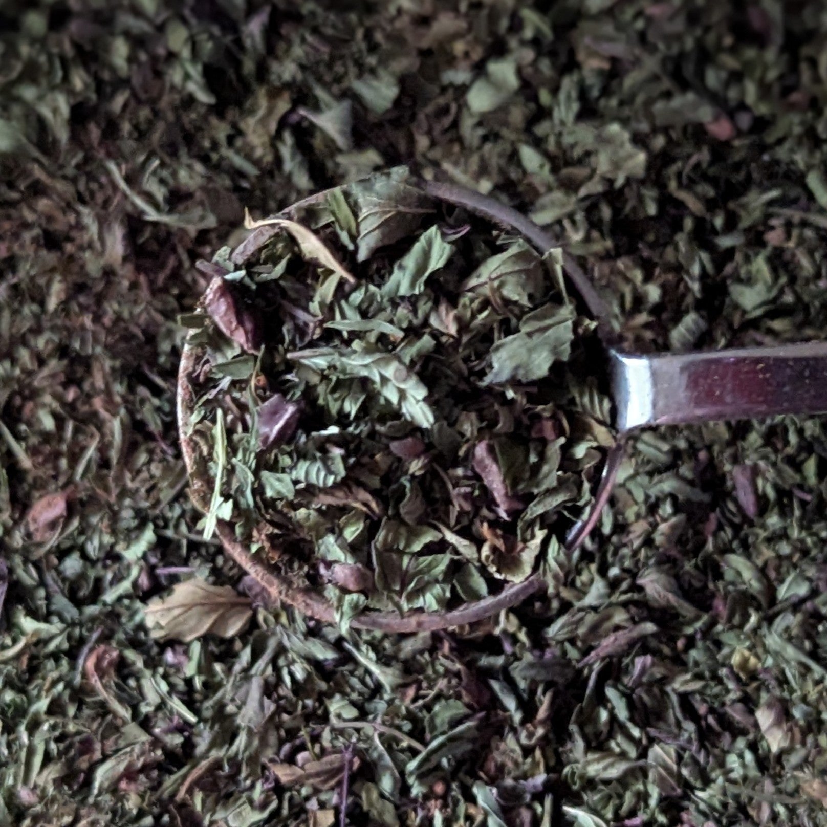 Cherry Valley Organics Dark Chocolate Mint Herbal Tea