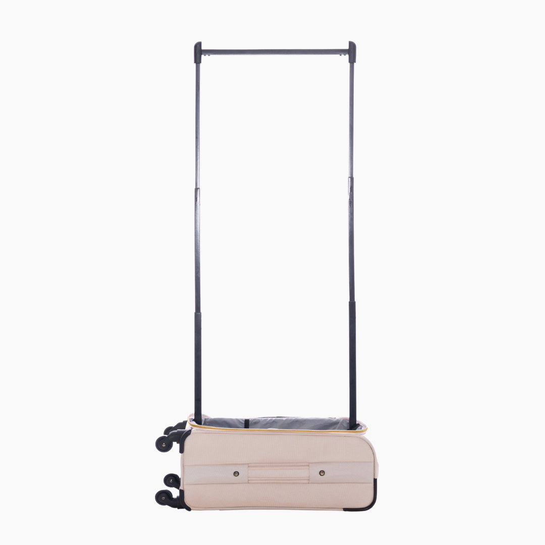 The Mini Beige Bag