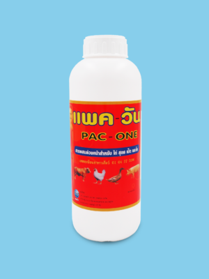 แพค - วัน (PAC – ONE)