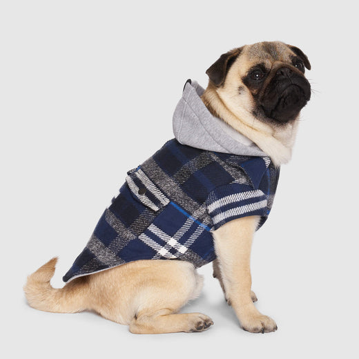 The Shacket Blue Plaid