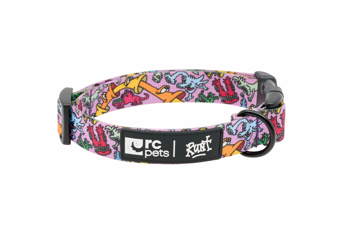 Artist Series Collar - Runt