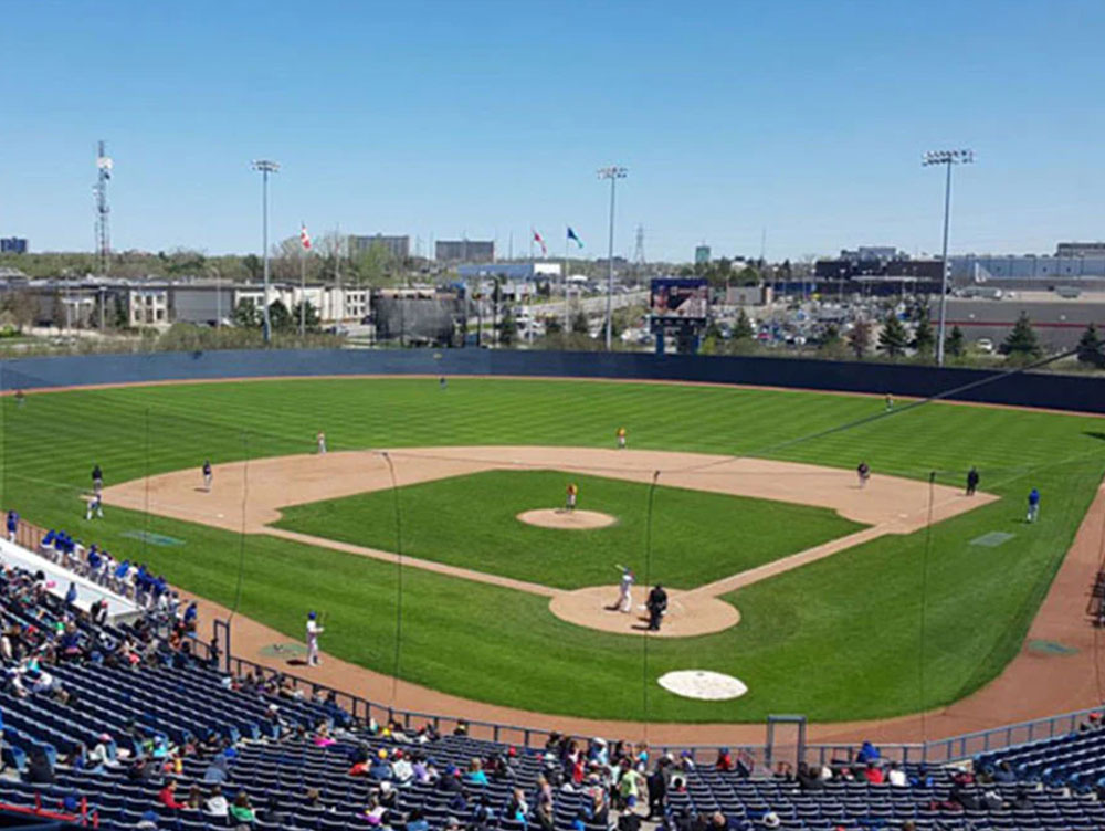 Sport Systems Baseball & Softball Netting