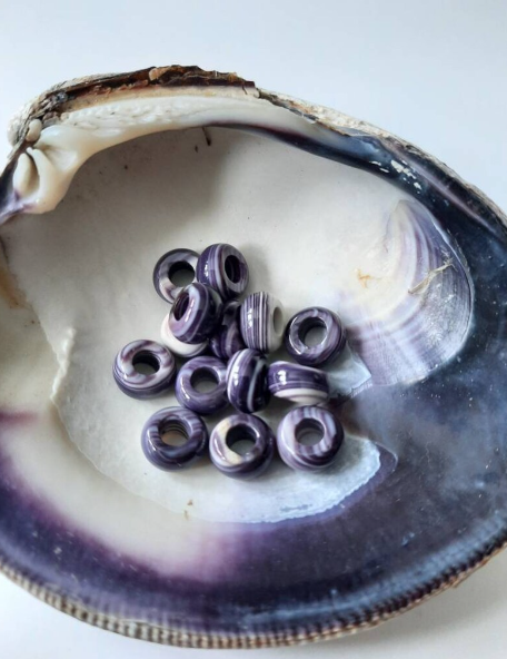 Wampanoag Shells 2qty Pony/crow Wampum Bead