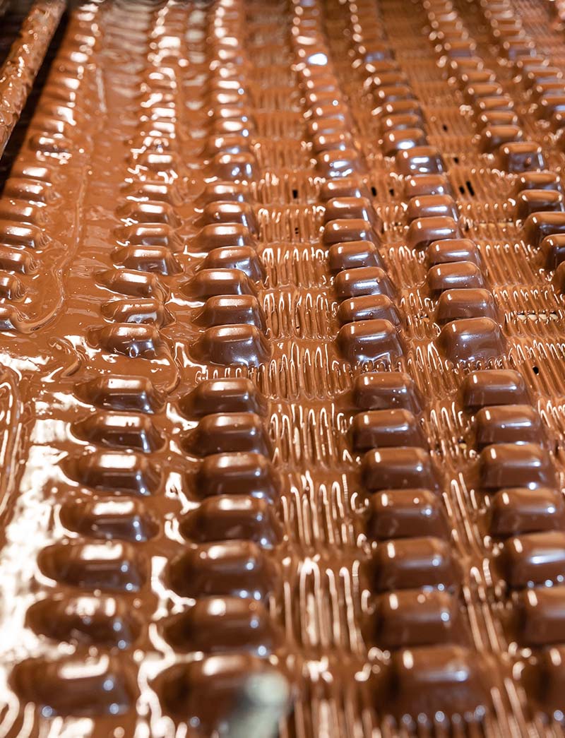 RAP Confectionery Caramels and bars by extrusion