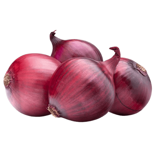 GEO EXPORTING Fresh Red Onions