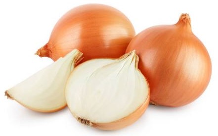 GEO EXPORTING Fresh Golden Onions