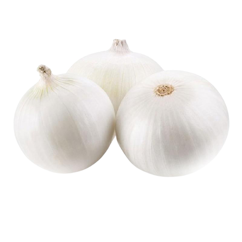 GEO EXPORTING Fresh White Onions
