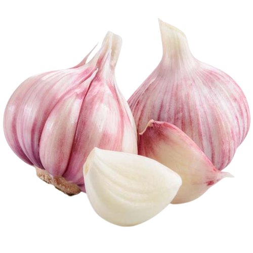 GEO EXPORTING Fresh & Dry Garlic