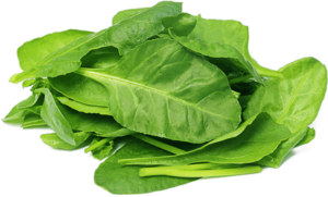 Frozen Spinach