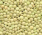 Adascan Grain Corporation Richlea Medium Lentil