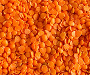 Adascan Grain Corporation Split Red Lentils