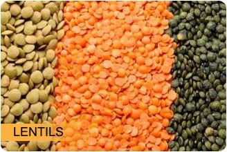 Canadian Agri Impex Laird Lentils